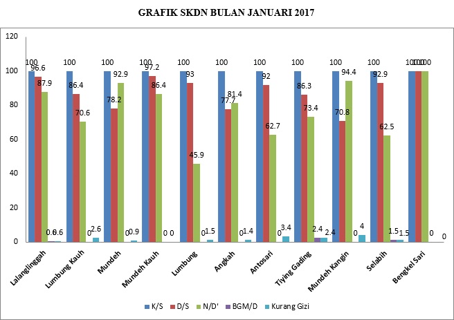 SKDN JAN